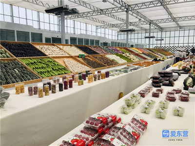 蔬菜大棚变身智能工厂 东营重点工程项目一线报道